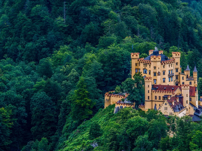 деревья, замок, германия