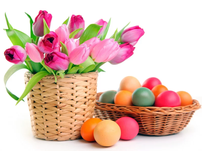 пасха, белый фон, яйца, easter, тюльпаны