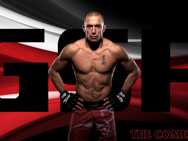 georges st-pierre, fighter, смешанные боевые искусства, mma, ufc, боец