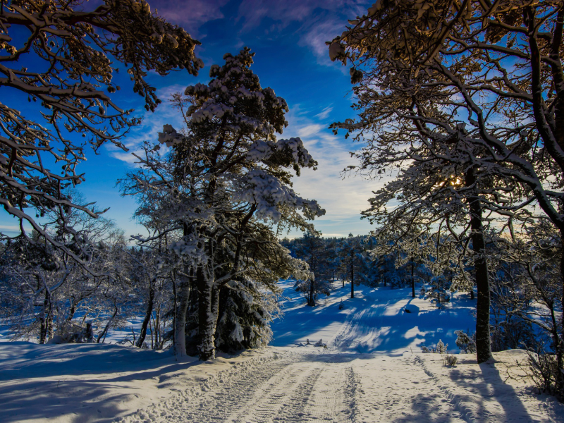 Winter Wonder Land, Норвегия, зима, солнце