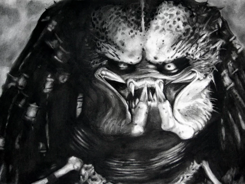 рожа, хищник , черно-белое, predator, рисунок, монстр