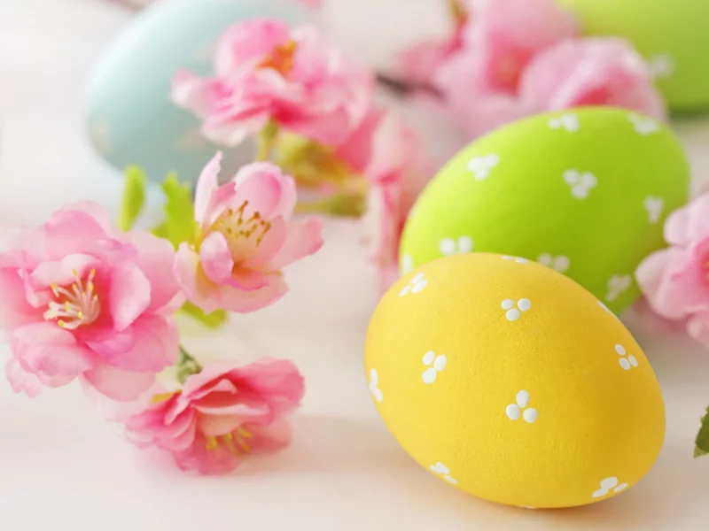 Easter, eggs, flowers, delicate, пасха, яйца, цветы