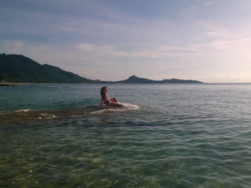 панорама, море, синева, риф, девушка, сидит, красиво