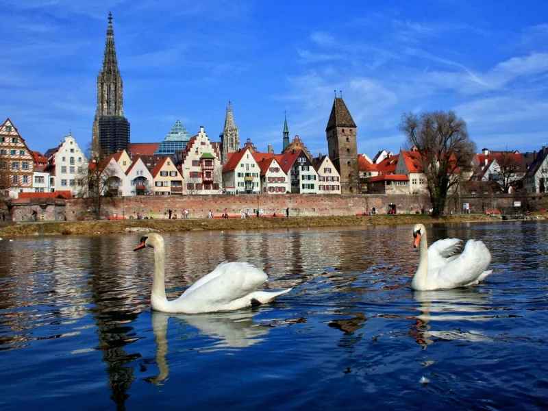 бавария, город, река, лебеди