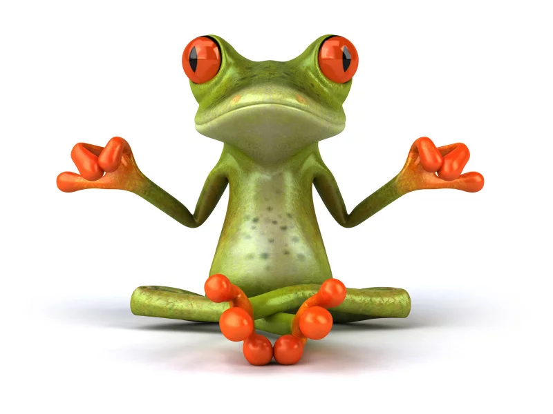 поза, графика, free frog 3d, лягушка, лотос