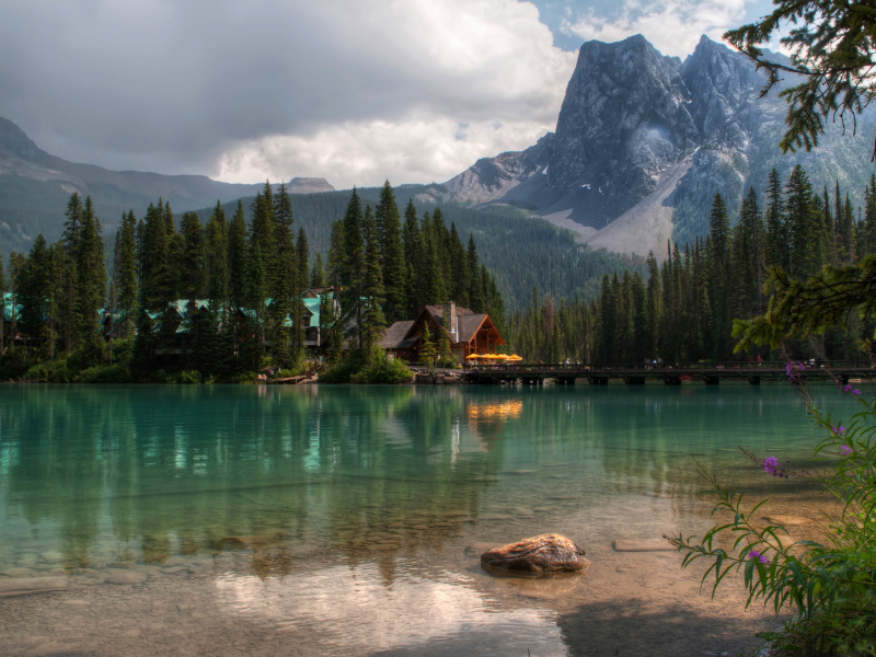 Lake louise, Alberta, Canada, лес