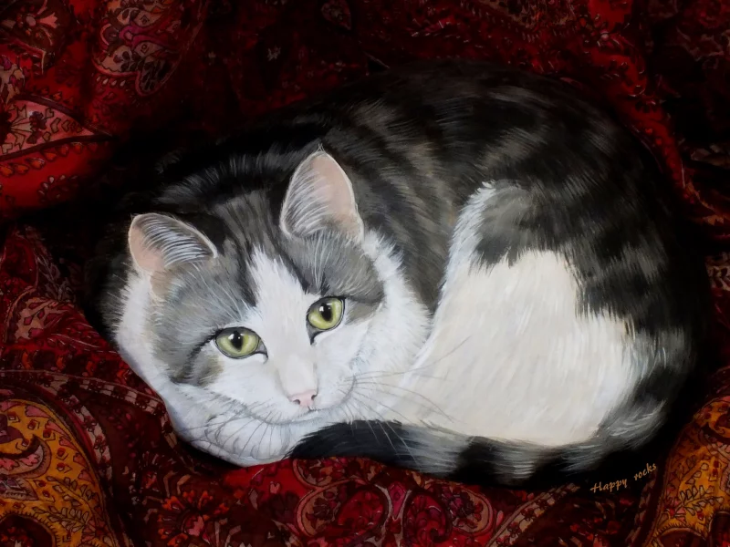 камень, кот, рисунок