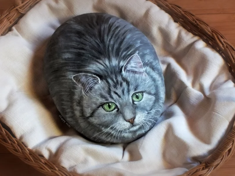 камень, кот, рисунок
