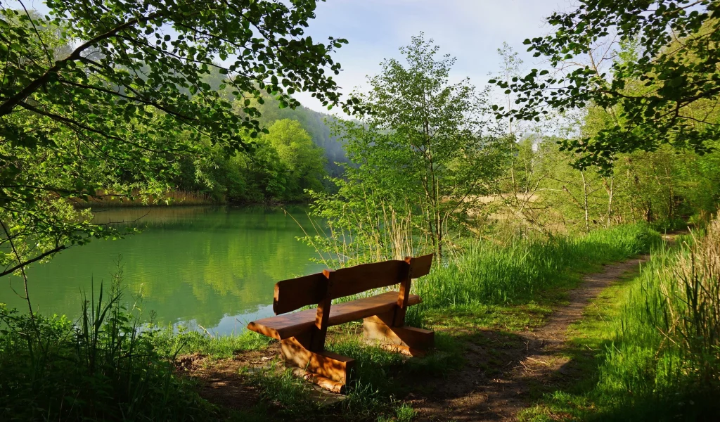 швейцария, скамейка, деревья