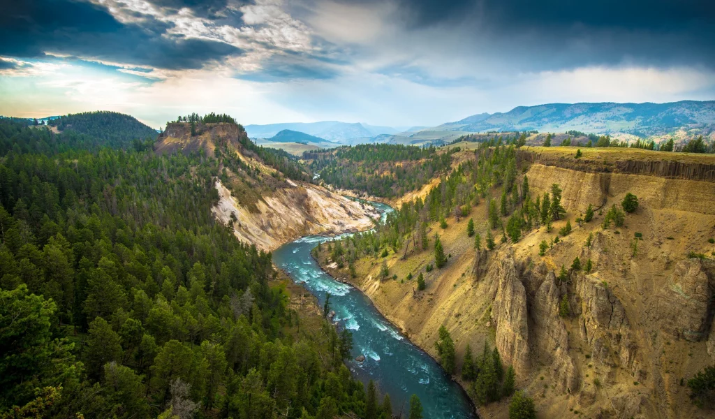 Yellowstone National Park, деревья, природа, река, горы