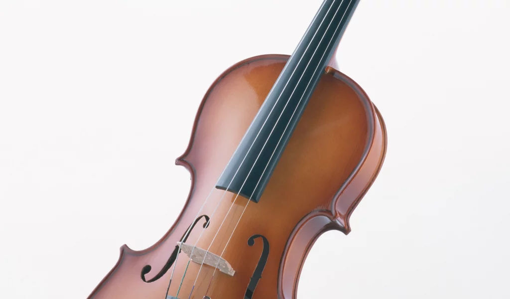 music, enstruman1
