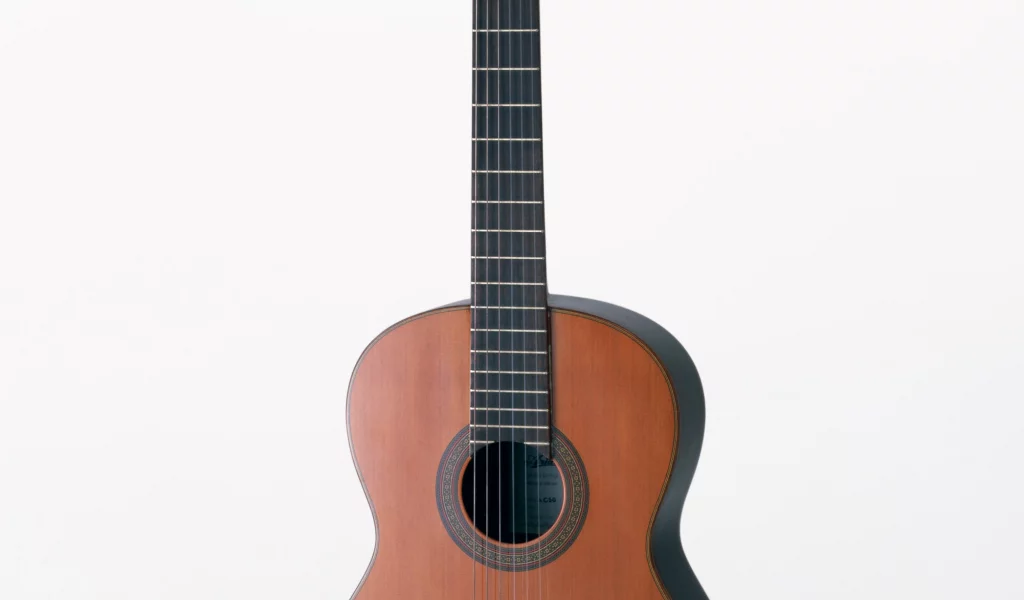 music, enstruman10