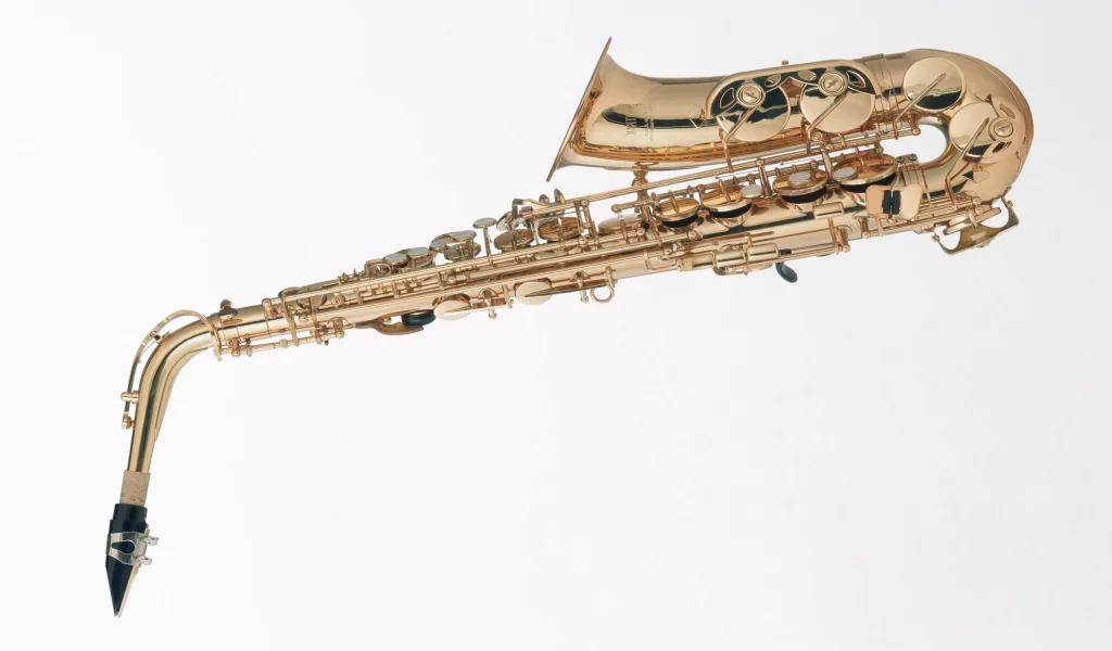 music, enstruman28