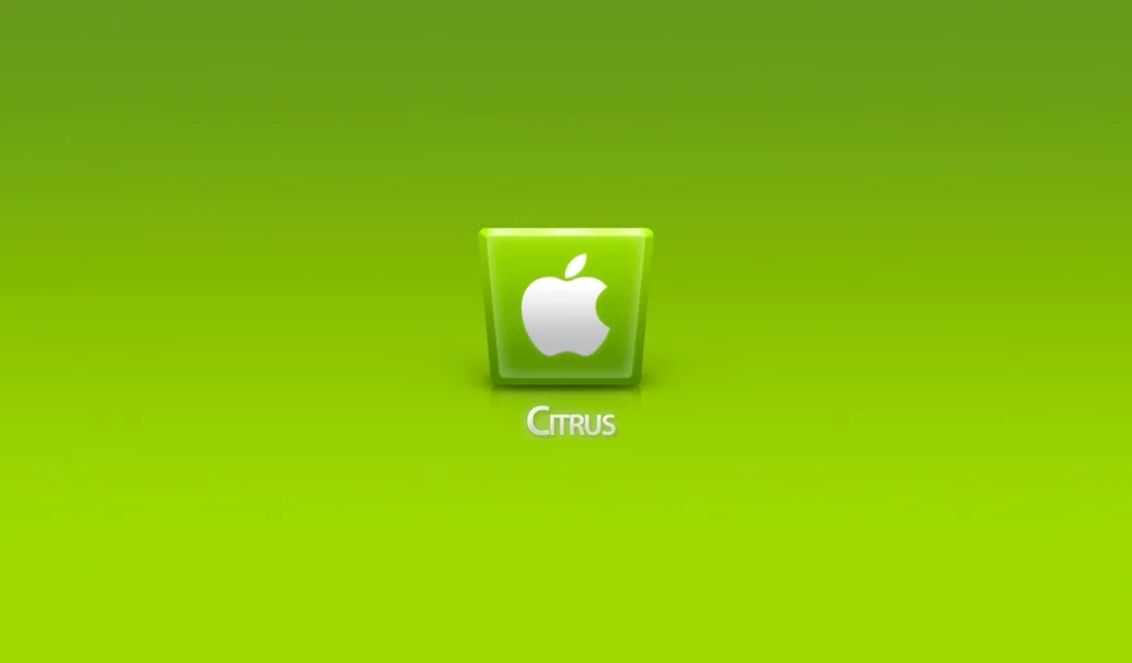 компьютер, телефон, apple, ноутбук, citrus, гаджет