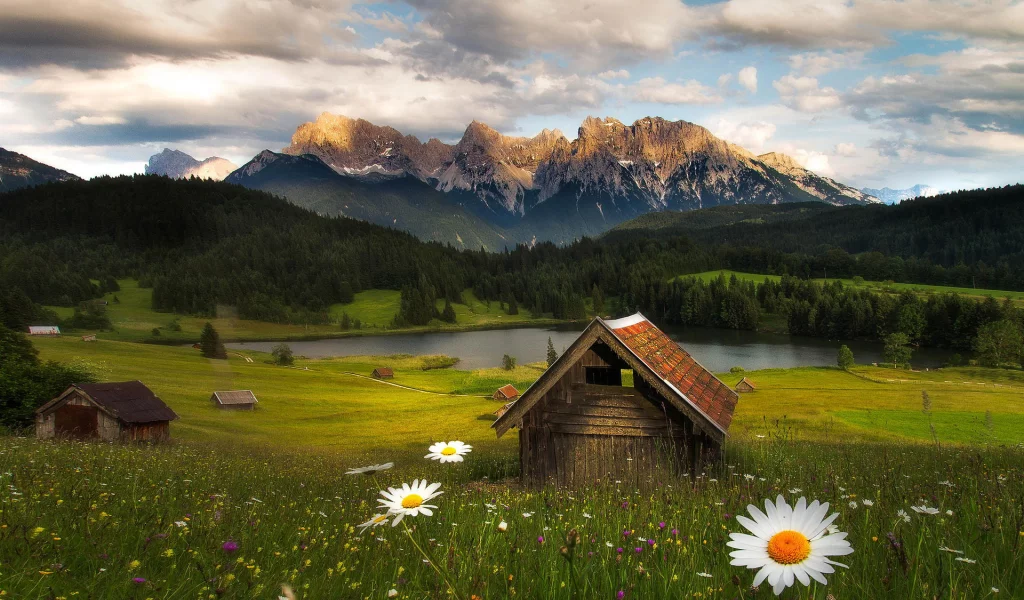 горы, цветы, лес, природа