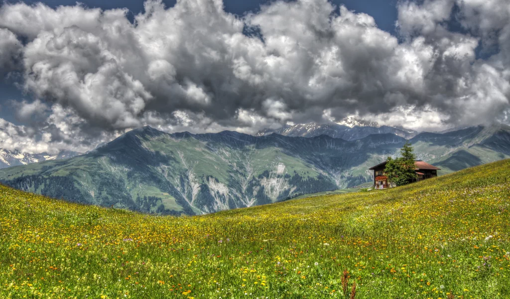 трава, пейзаж, горы, луг, цветы, дом