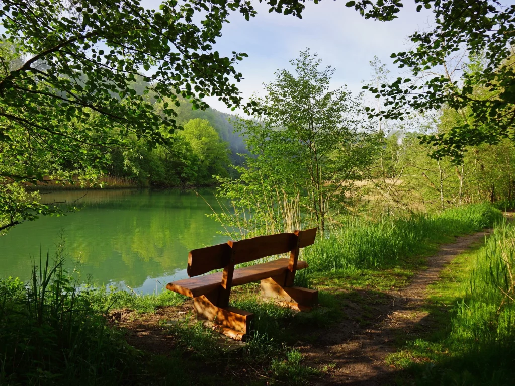 швейцария, скамейка, деревья