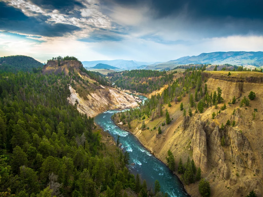 Yellowstone National Park, деревья, природа, река, горы