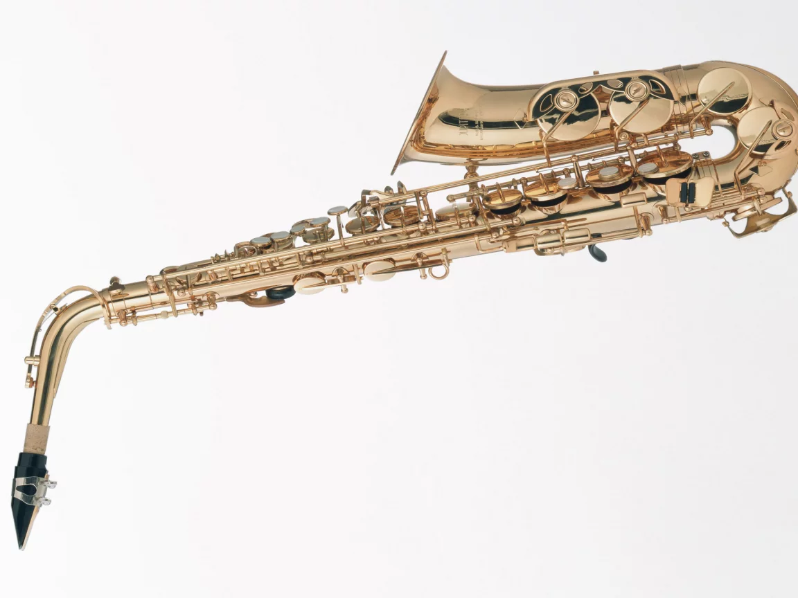 music, enstruman28