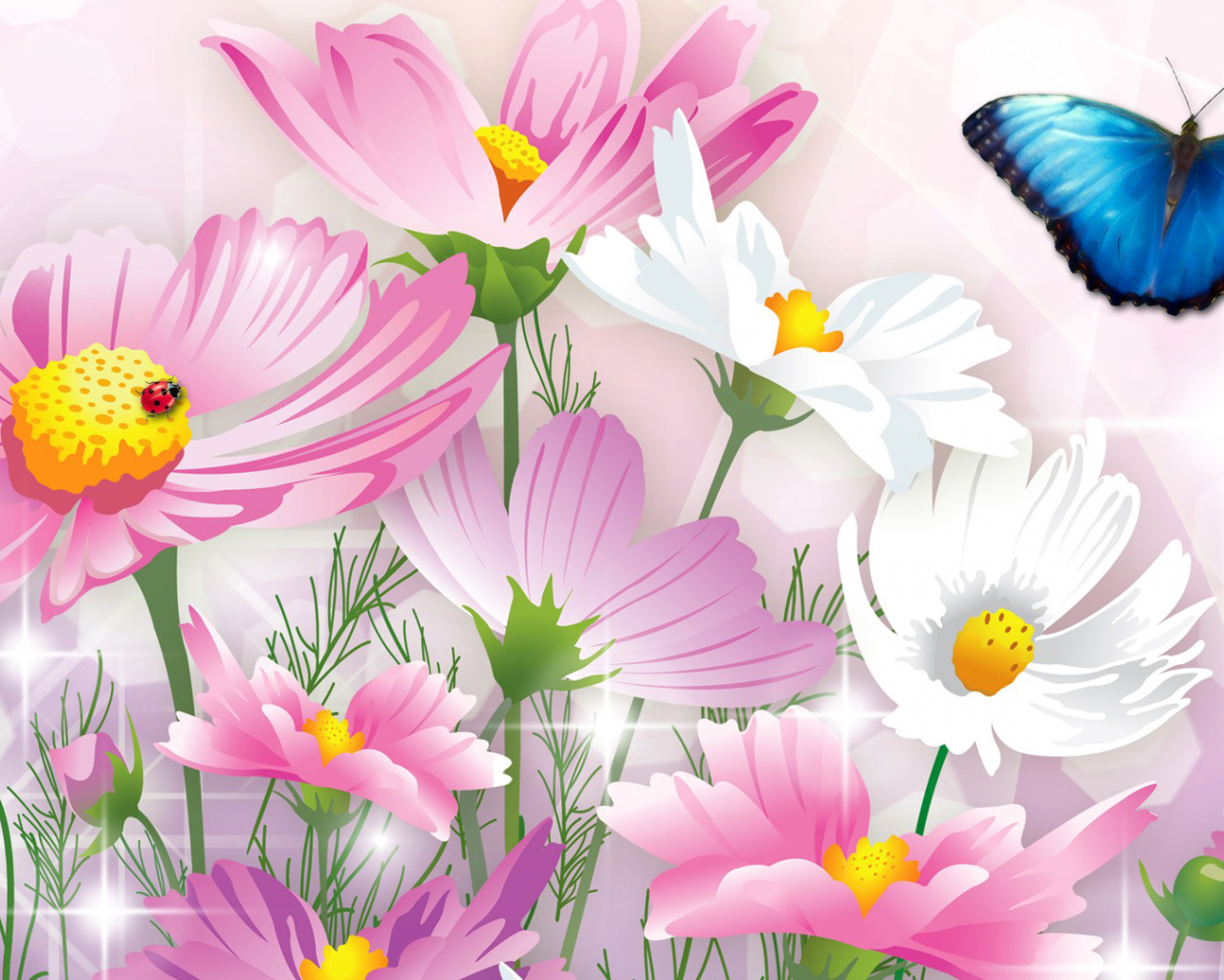коллаж, цветы, космея, бабочка, насекомое, божья коровка, открытка