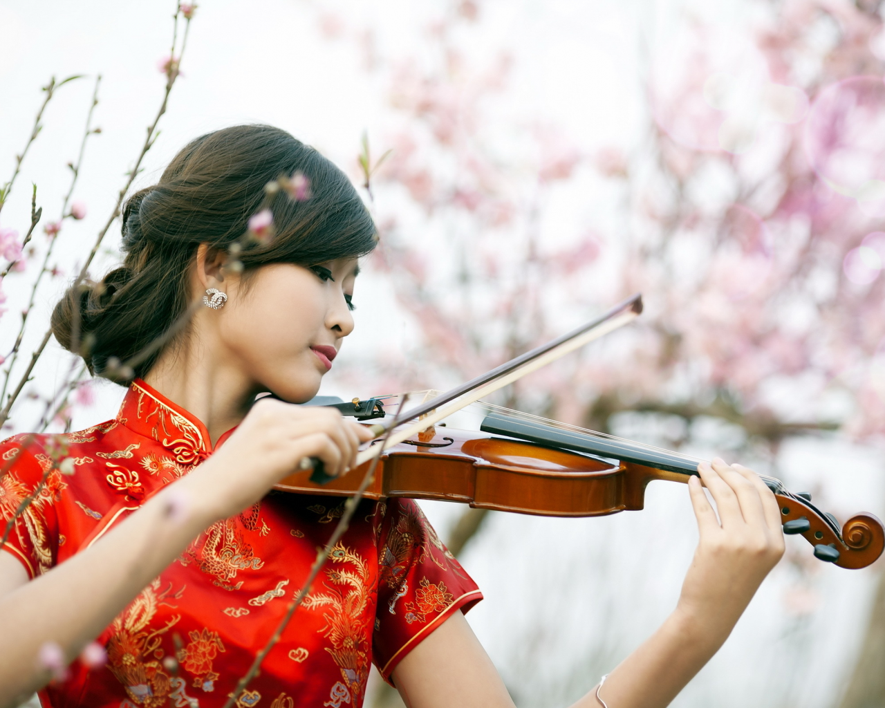 девушка, музыка, скрипка, азиатка