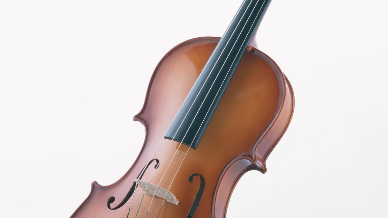 music, enstruman1
