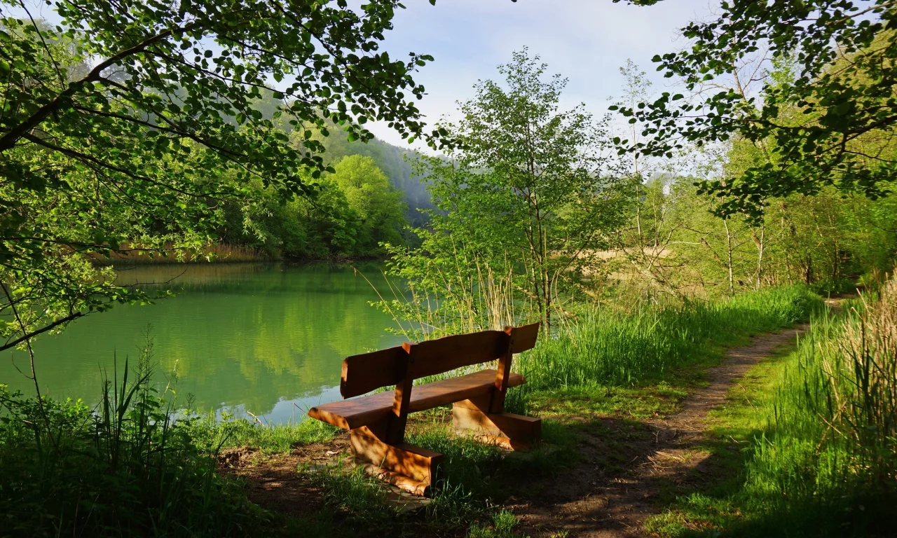 швейцария, скамейка, деревья