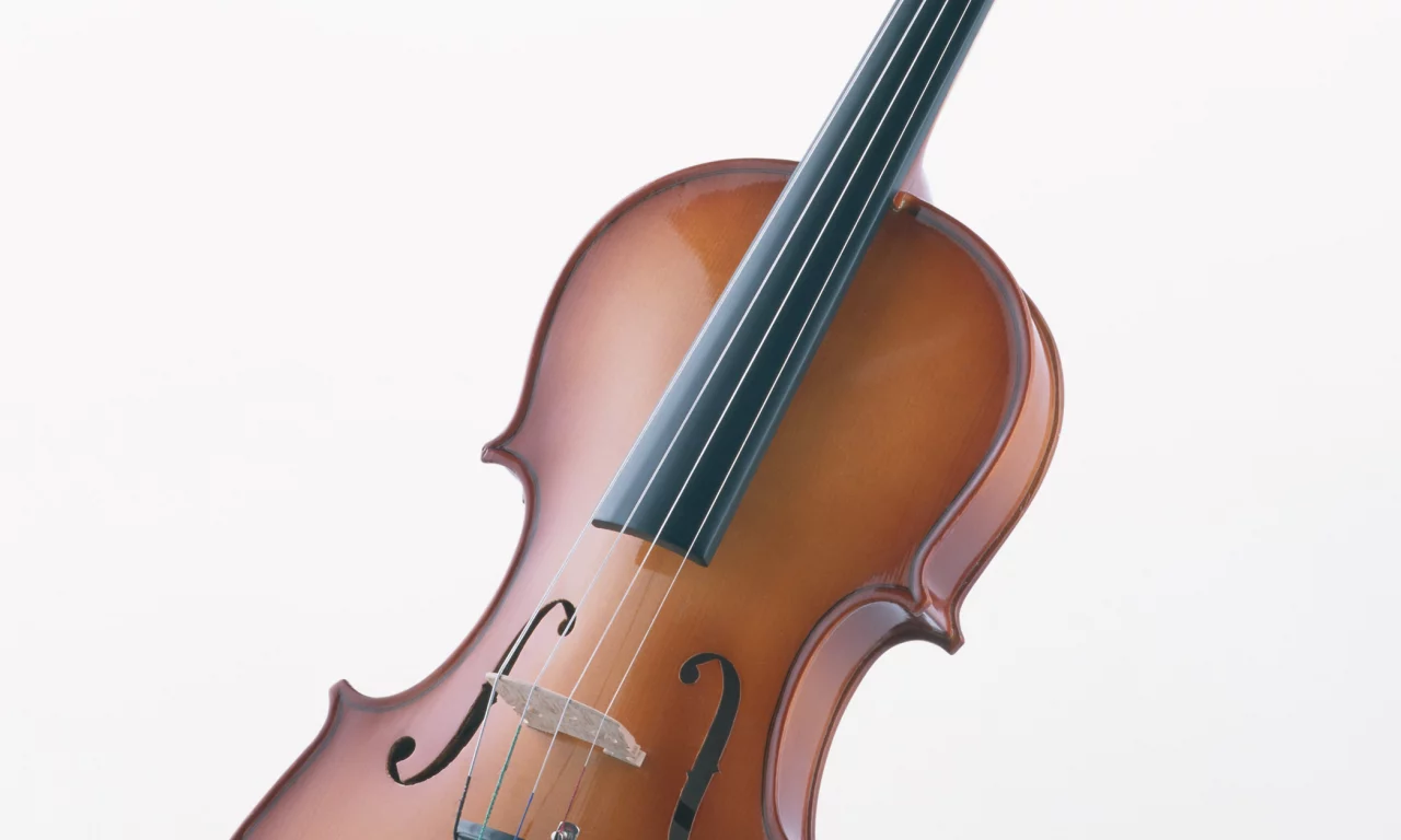 music, enstruman1