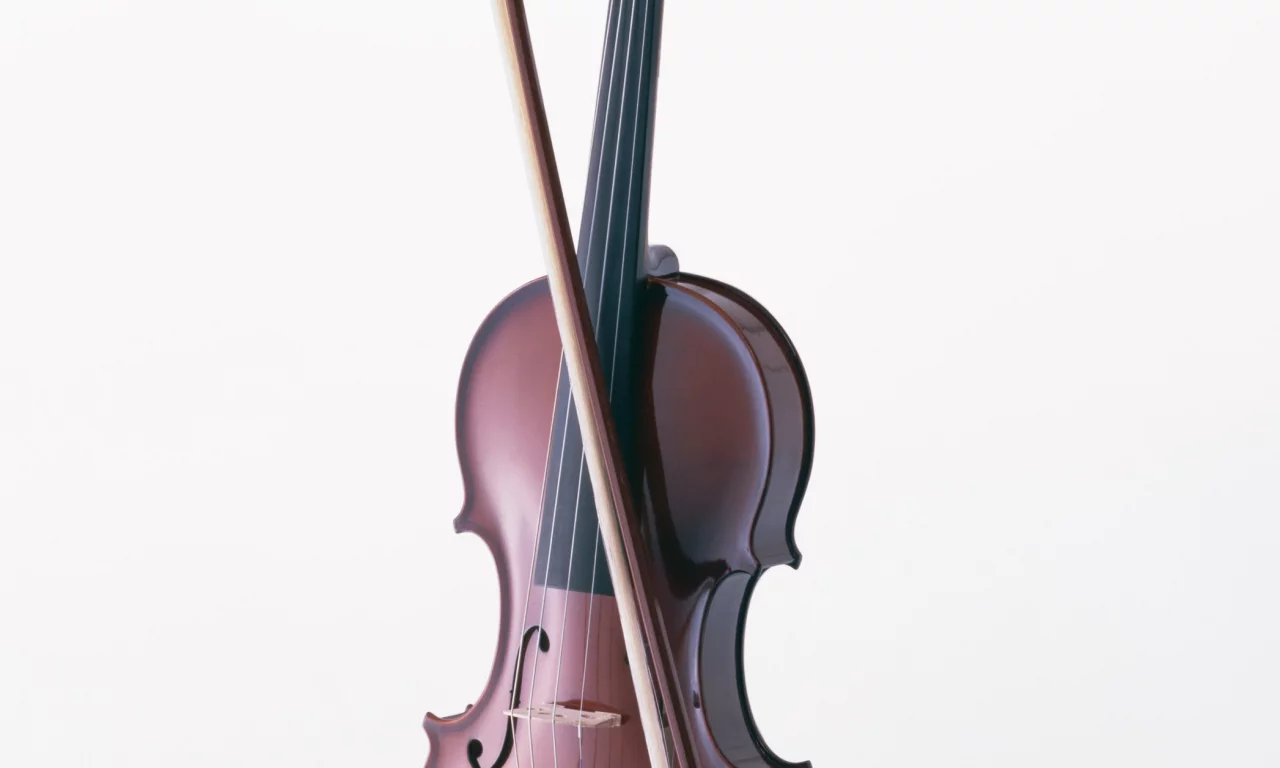 music3, enstruman3