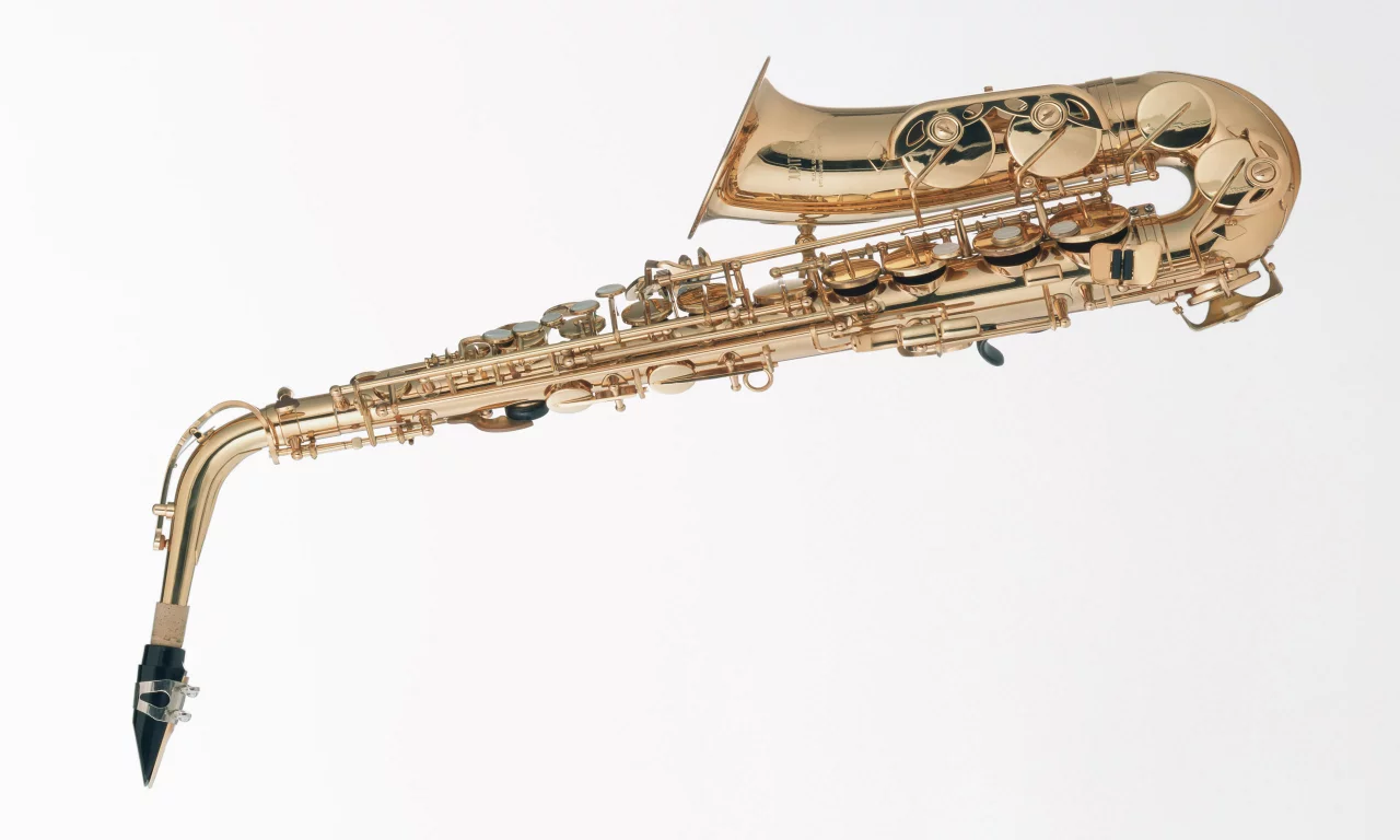 music, enstruman28
