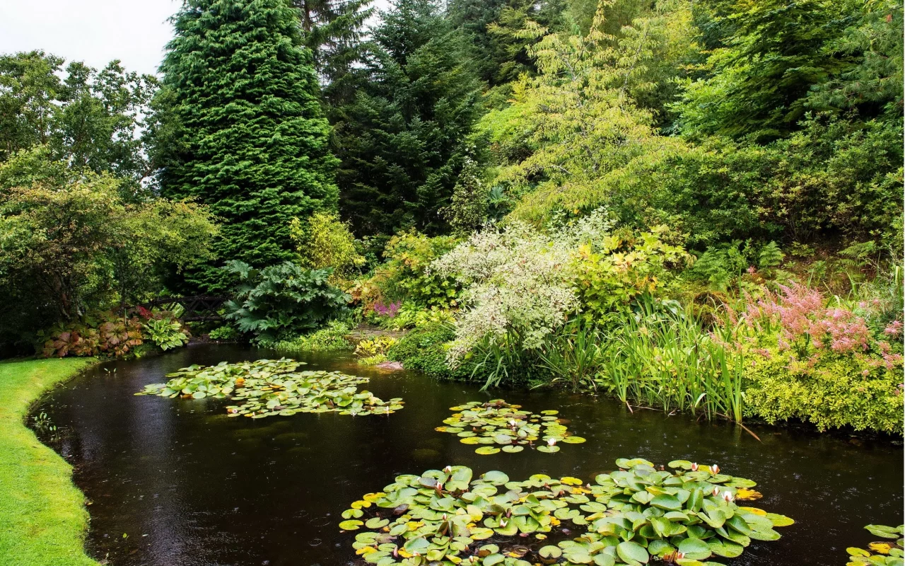 природа, парк, attadale, gardens, strathcarron, scotland