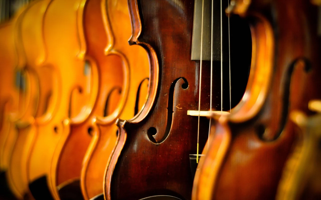 violins, музыка, макро