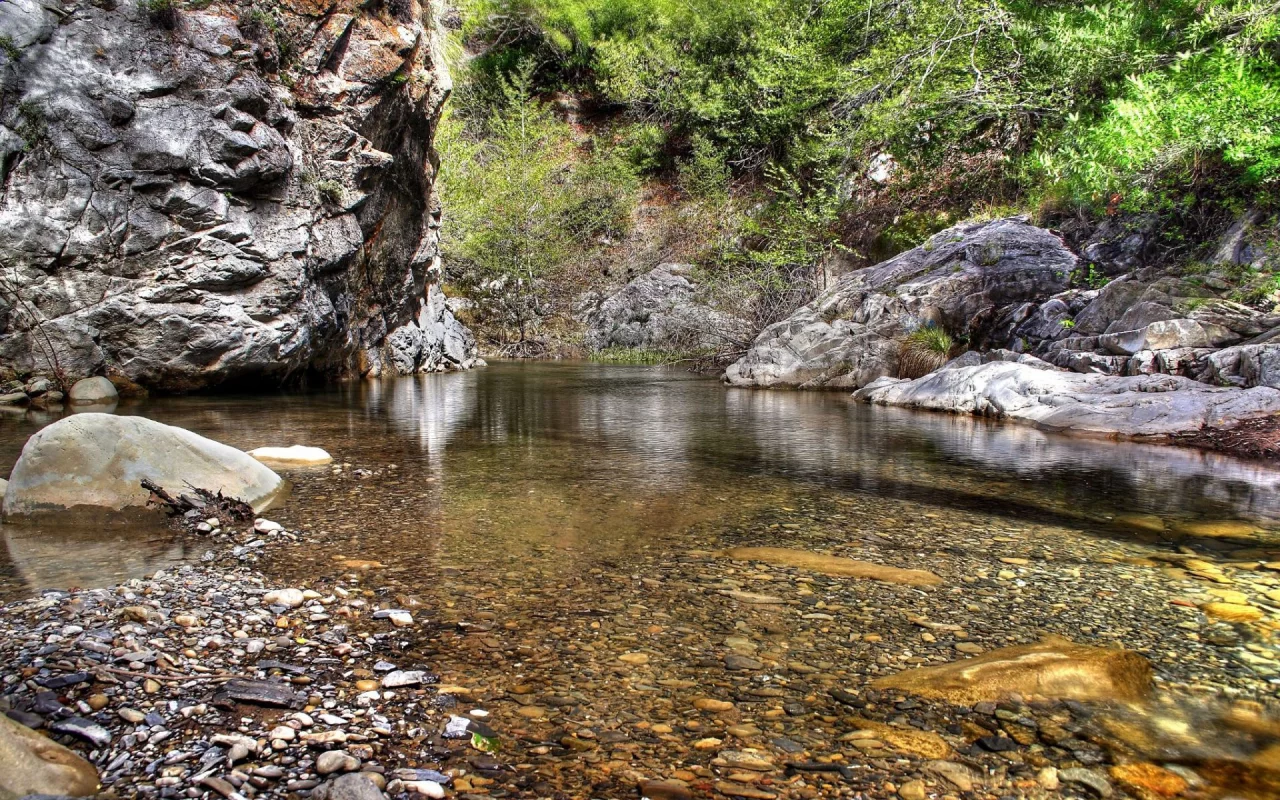 вода, природа, листья, деревья, камни