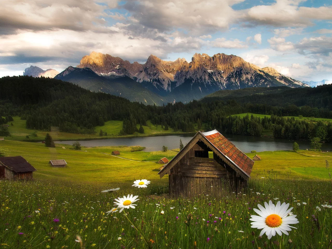горы, цветы, лес, природа