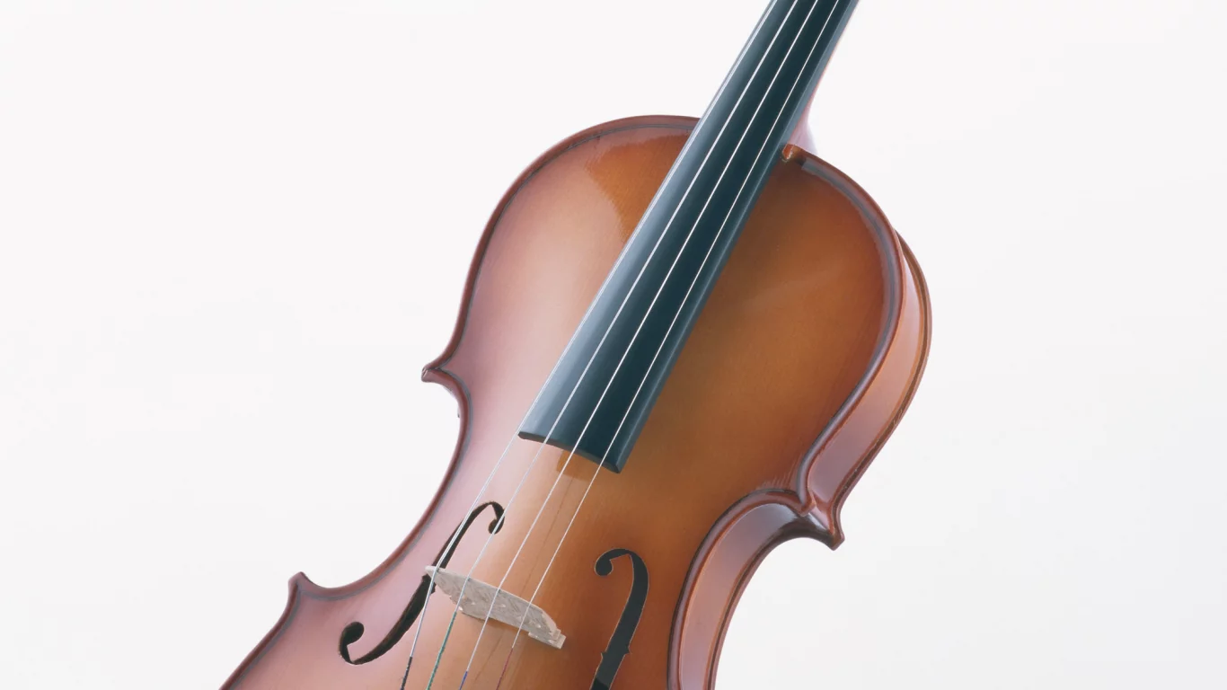music, enstruman1