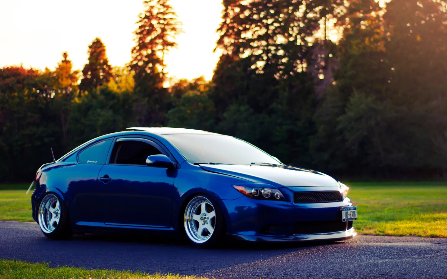 stance, canibeat, тюнинг, scion tc