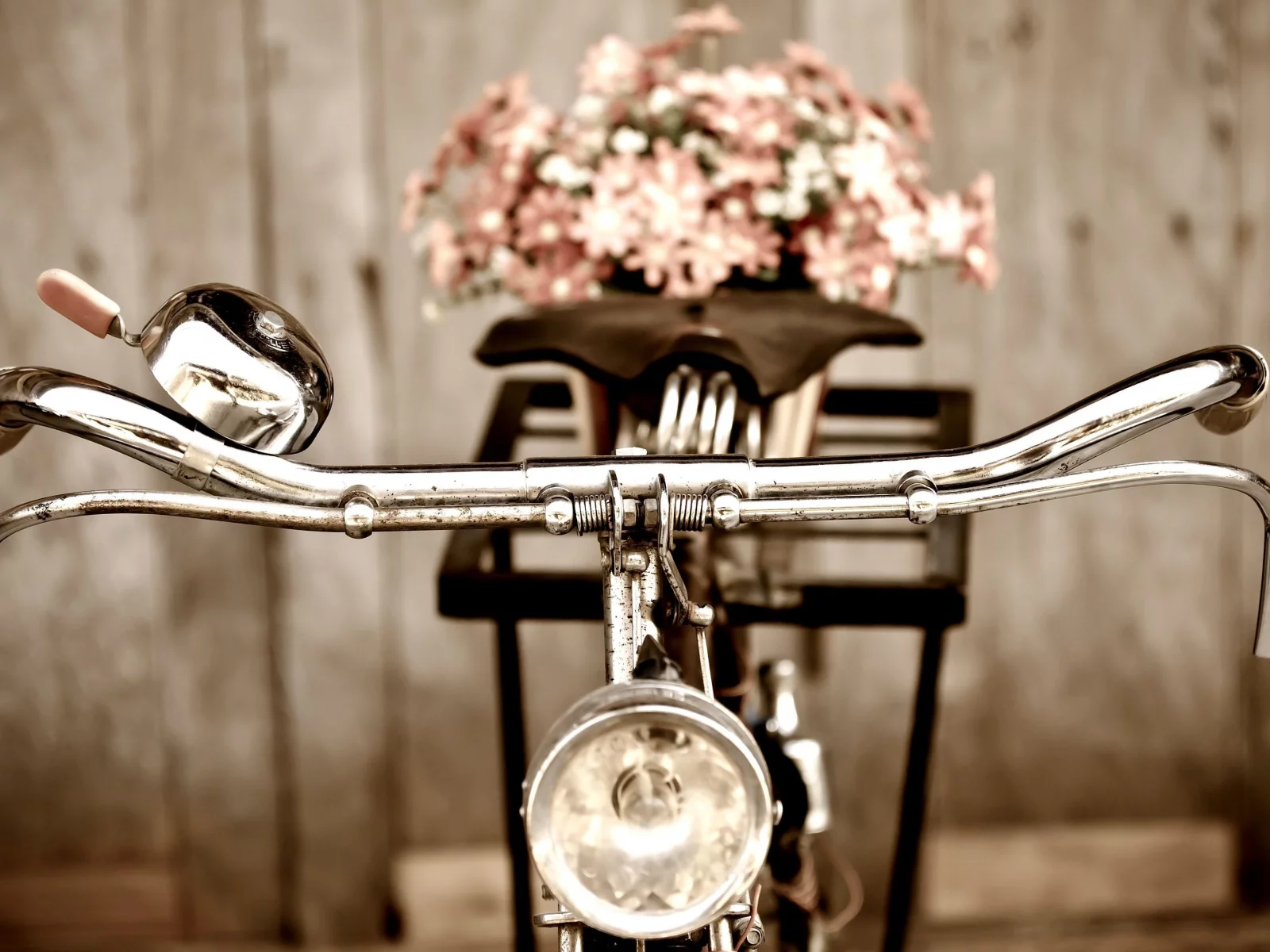 цветочки, руль, цветы, настроения, фон, велосипед, bicycle