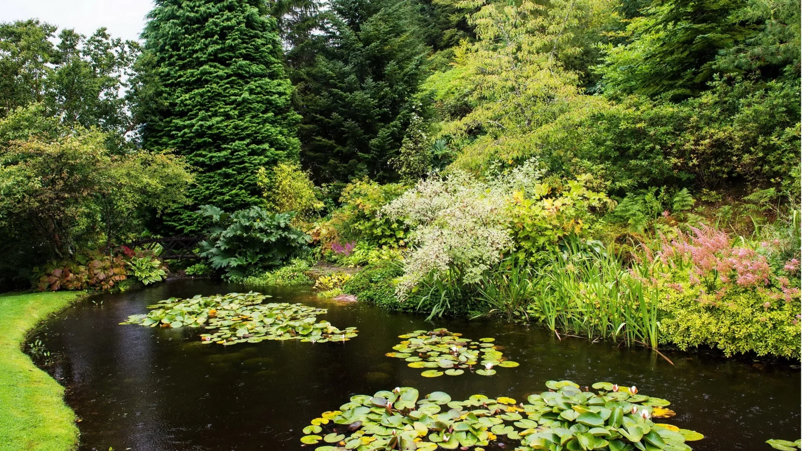 природа, парк, attadale, gardens, strathcarron, scotland