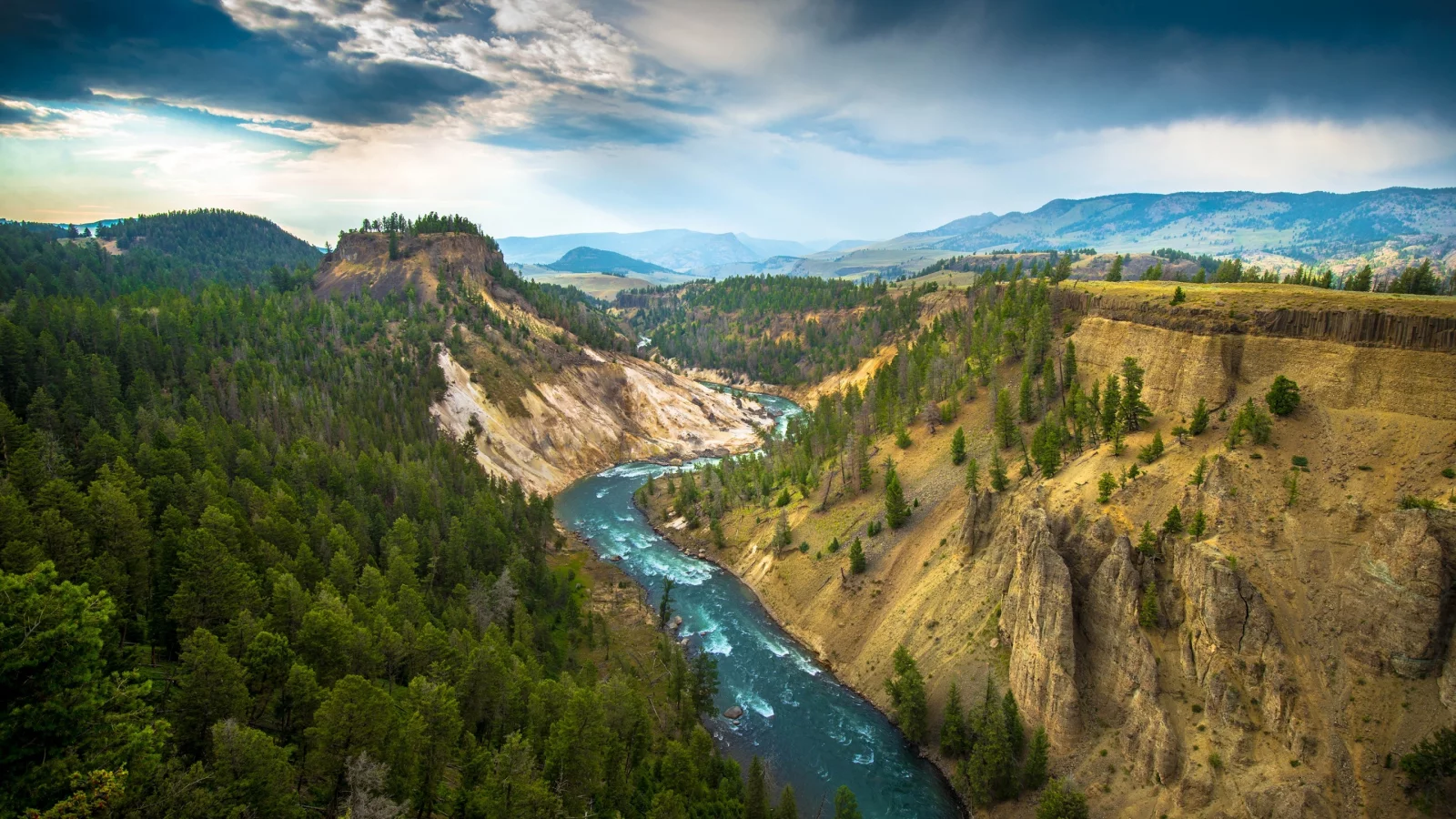 Yellowstone National Park, деревья, природа, река, горы