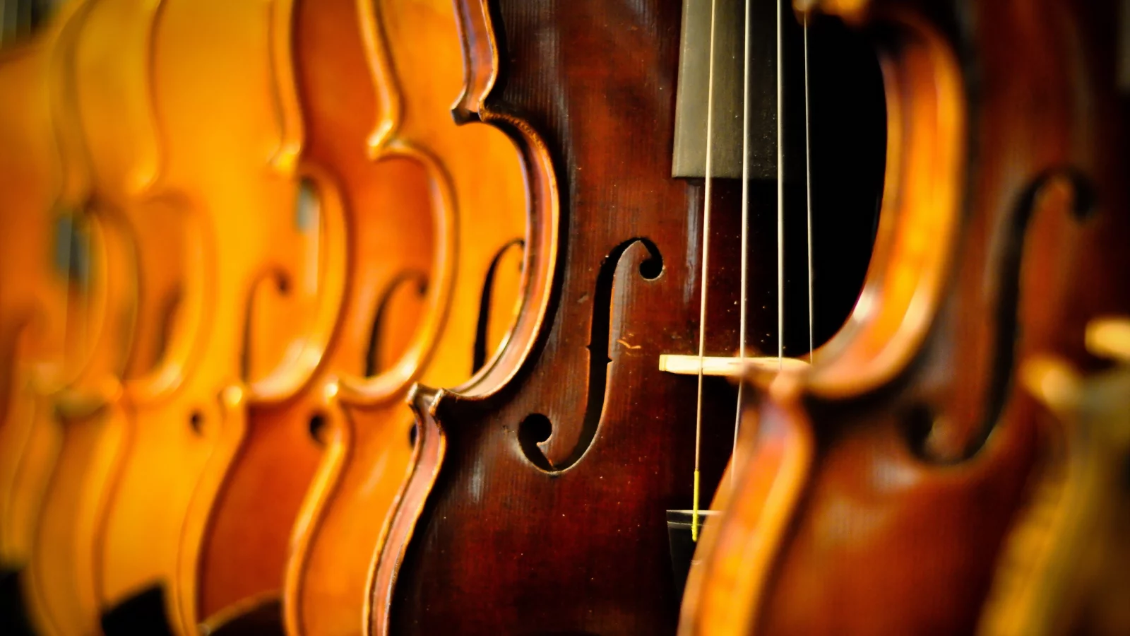 violins, музыка, макро