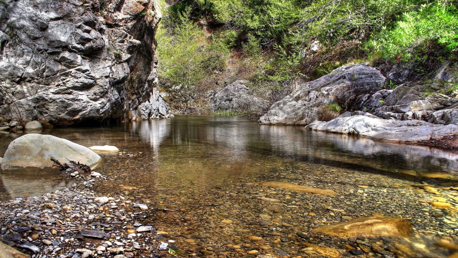 вода, природа, листья, деревья, камни