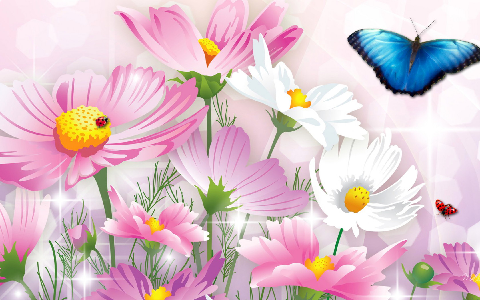 коллаж, цветы, космея, бабочка, насекомое, божья коровка, открытка
