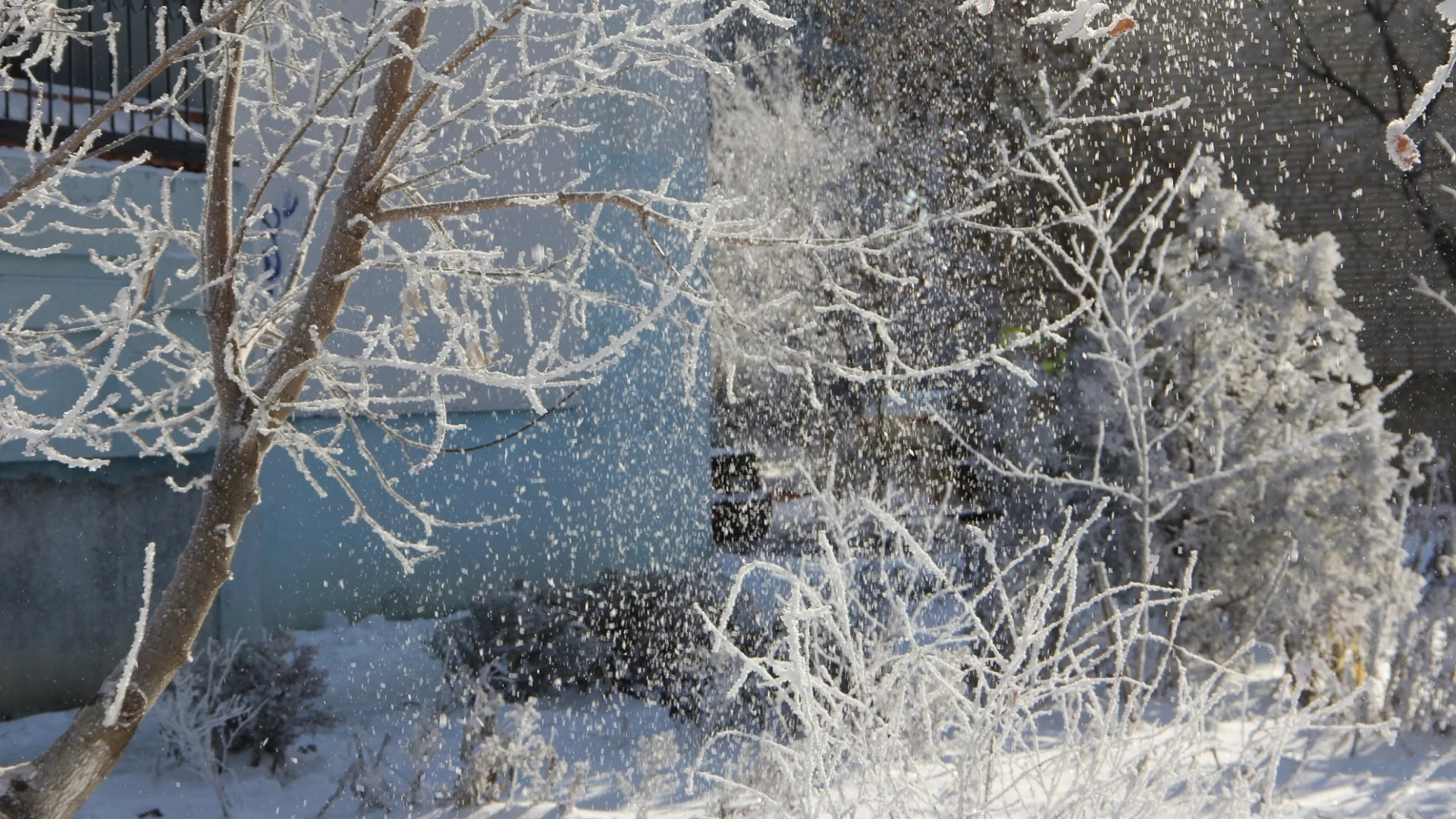 зима, снег, деревья, красота