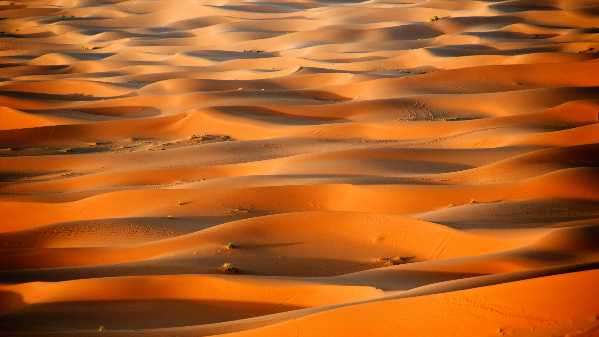 марокко, пустыня, африка, сахара, дюны