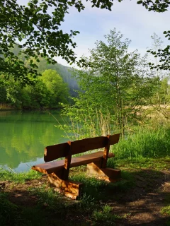 швейцария, скамейка, деревья