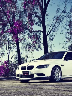 BMW, М3, белый