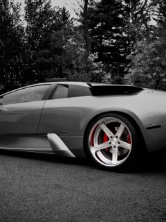 черно-белое, Lamborghini, литье
