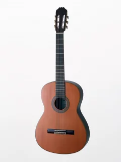 music, enstruman10