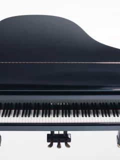 music, enstruman46