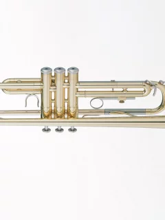 music, enstruman22